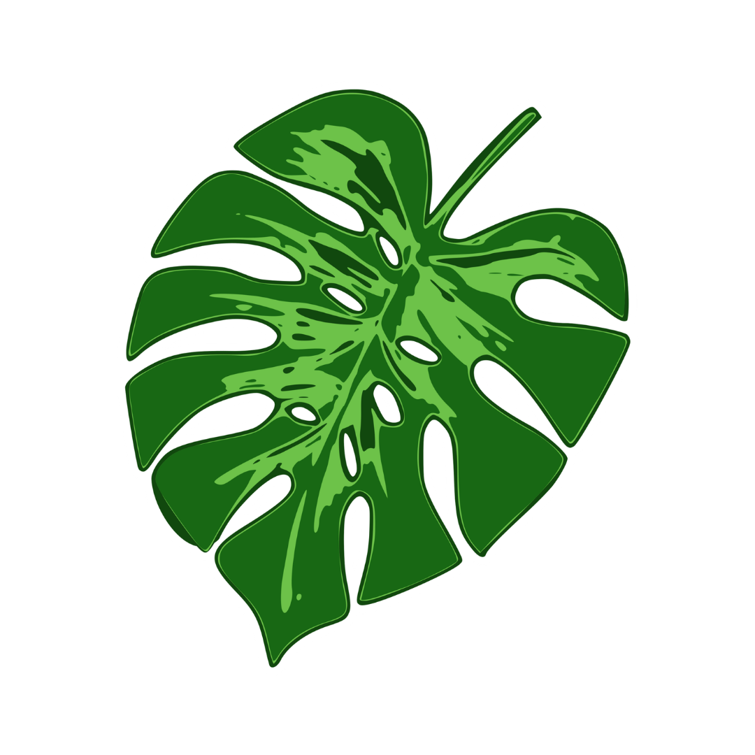 Folhagem tropical decorativa